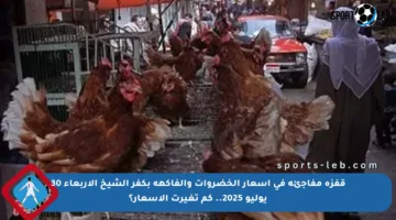 قفزة مفاجئة في أسعار الخضروات والفاكهة بكفر الشيخ الأربعاء 30 يوليو 2025.. كم تغيرت الأسعار؟
